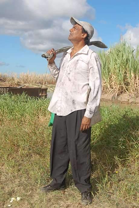 Brown Sugar Too Bitter for Me